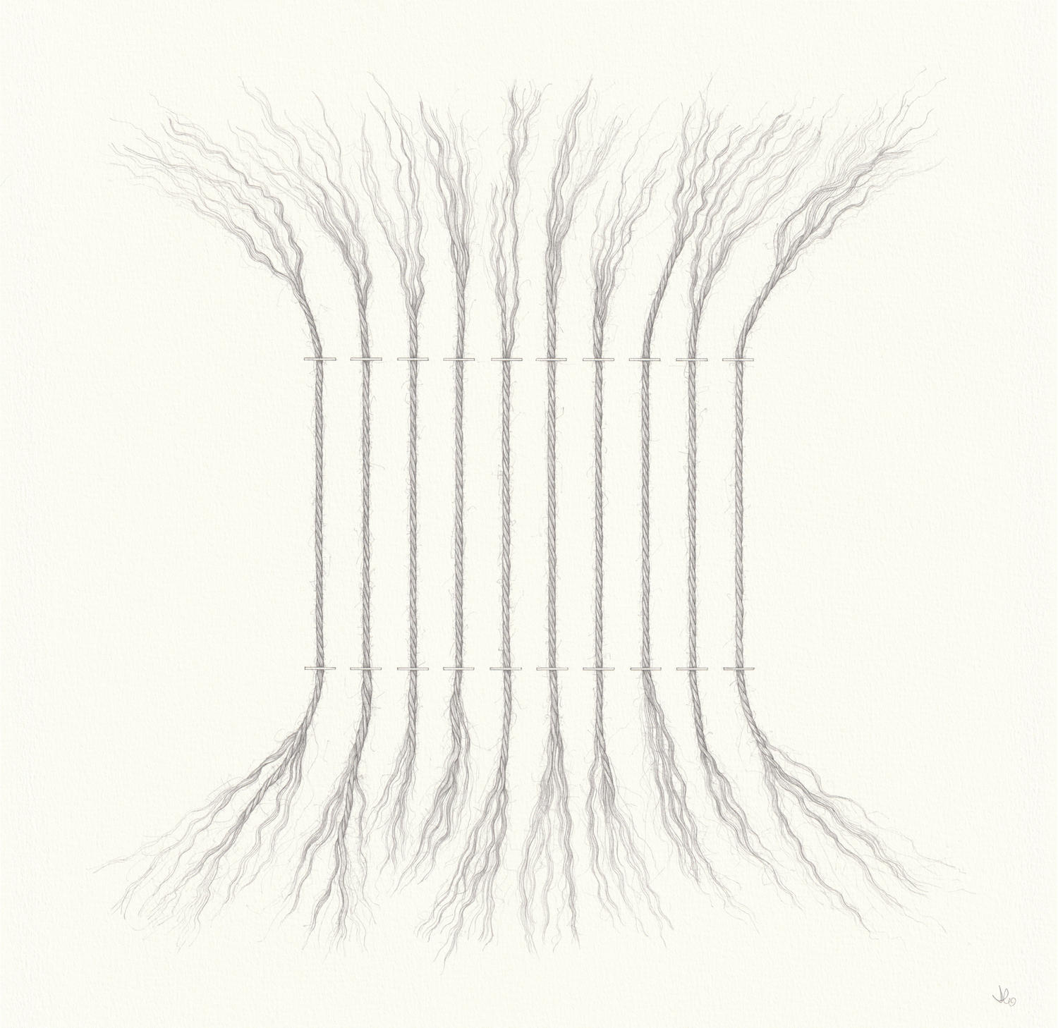 Stay (38 x 38 cm)  pencil on paper